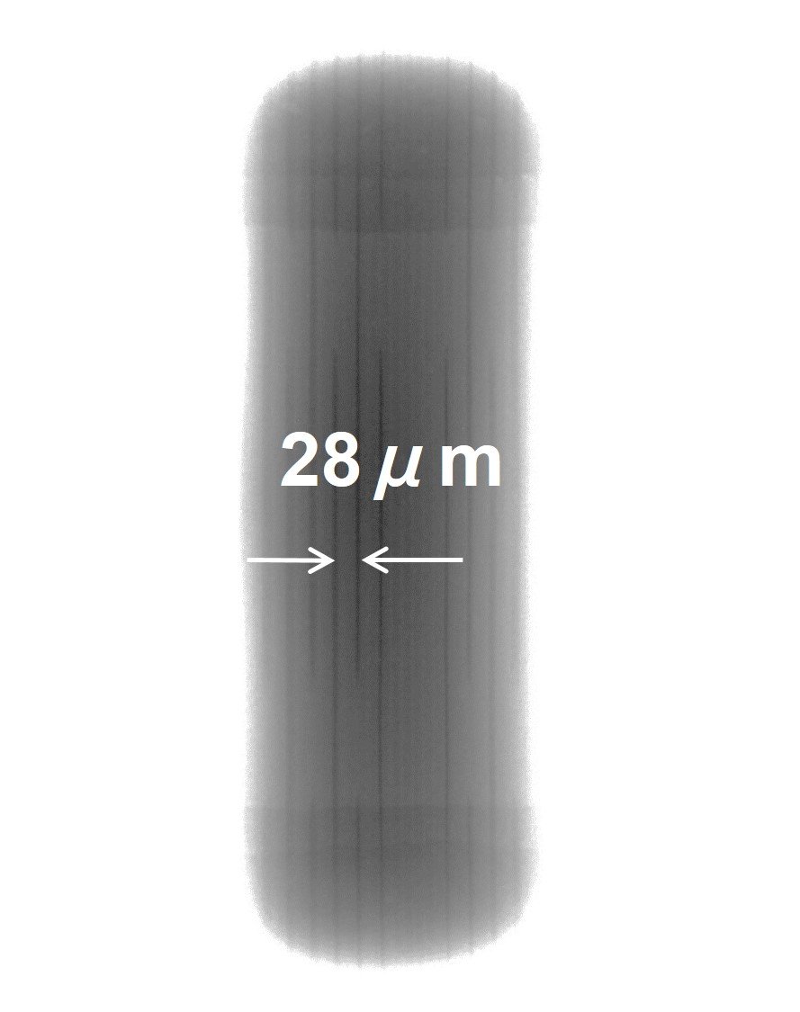 Multi Layer Ceramic Capacitor